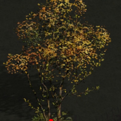 ����΢��汾���ƽ�ⴴ���뾭��ԭζ